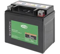 QUANTUM ENERGY Batteria
