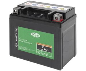 QUANTUM ENERGY 3623 Batteria