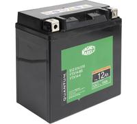 QUANTUM ENERGY 3627 Batteria
