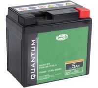 QUANTUM ENERGY 3623 Batteria