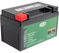 QUANTUM ENERGY 10831 Batteria