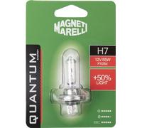 Magneti Marelli H7 lampadina singola auto +50% light 12V 55W attacco PX26d