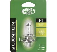 Magneti Marelli H7 lampadina singola auto long life 12V 55W attacco PX26d