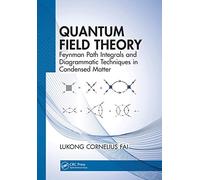 Quantum Field Theory: Feynman Path Integrals and Diagrammatic Techniques in Condensed Matter