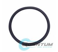 Quantum Fuel Pump Tank Seal Per Yamaha Wolverine R-SPEC Hunter (YXE700) 16-17