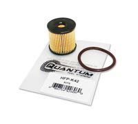 Quantum Kit Filtro Del Carburante per Harley-Davidson Rocker/Rocker C 2008-11#