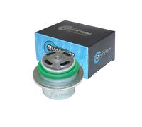 Quantum Regolatore di Pressione Per Suzuki King Quad 700 05-07/450 07-10