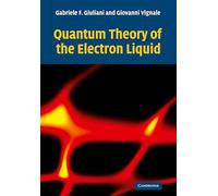 Quantum Theory of the Electron Liquid