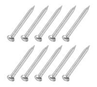 QUARKZMAN 100Pcs Piccoli Chiodi Hardware 1.5 X 19mm Chiodi Comuni Argento