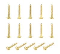 QUARKZMAN 15 Pcs Viti In Ottone M2.5 x 16mm Testa Tonda Con Intagli Oro