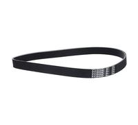 QUARKZMAN 270J8 PJ Cinghia Trapezoidale 8 Nervature 686mm Lunghezza x 18,72mm Larghezza x 3,5mm Altezza, Cinghia a V in Gomma EPDM, Cinghia Micro V Multi Cuneo