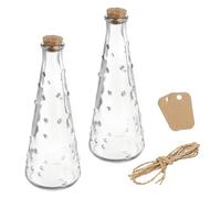 QUARKZMAN 2pz 7,8 oz/260ML Goccia forma Vetro Barattoli Sughero Tappi Cancella Messaggio Wishing Bottiglia Spago e Etichette vuote per Halloween Decorazioni Matrimonio Doccia Bomboniere