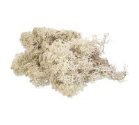 QUARKZMAN 3,5 OZ Muschio Finto per Artigianato, Muschio Artificiale Naturale Preservato per Progetti Artigianato Floreale Fai Da Te Decorazione Pareti Matrimoni Giardini (Cachi Chiaro)