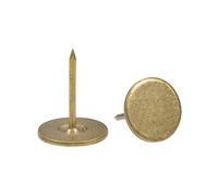 QUARKZMAN 30Pz Chiodi per Tappezzeria, Testa Piana 16mmx20mm, Puntine da Disegno Chiodi Decorativi per Lavagna Sughero Mobili, Puntine per Mobili, Divani, Testate, Bronzo