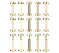 QUARKZMAN 30pz Viti Chicago in Ottone, 20x10mm Chiusura con Rivetti per Chiodi con Vite a Testa Piatta Sul Retro per Cinturino in Pelle Artigianale Fai-Da-Te