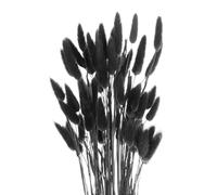 QUARKZMAN 50pcs Code Natural Dried Pampas Rabbit Bunny Tails Dried Flowers 18" Mini Erba della Pampa Lagurus Ovatus Bunch per Decorazione Floreale per la Casa, Nero