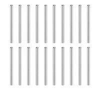 QUARKZMAN 60 Pcs Perni Cilindrici In Acciaio Inossidabile 304, 1x20 Mm Testa Tonda Estremità Piatta Smussata Supporti Mensola Pioli Metallici Elementi Di Fissaggio