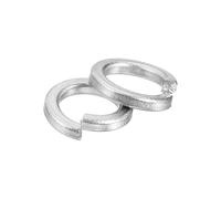 QUARKZMAN 60pz Rondella di Sicurezza a Molla, M6 Assortimento di Rondelle Sicurezza Divise Acciaio Inossidabile 304 per Viti Bulloni Dadi, Argento