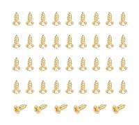 QUARKZMAN 65 Pezzi Viti In Ottone, M2 X 6mm Testa Piatta Autofilettanti Phillips Per Falegnameria Riparazione Mobili Cornici Cartongesso Elettrodomestici