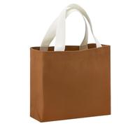 QUARKZMAN Borsa Tela Piccola Colore Per Donna x x Pollici Borsa Con Manico Leggera E Riutilizzabile Per Shopping Viaggio Uso Quotidiano Fai Da Te Marrone.