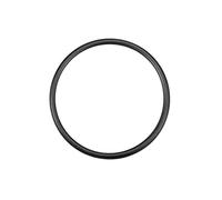 QUARKZMAN Nitrile Gomma O-Ring 160mm x 142,8mm x 8,6mm Guarnizioni Tenuta Anelli Rubinetti Rotondo Guarnizione Rondella per Rubinetto Idraulica Riparazione Sigillatura Connessione, 1 Pezzi
