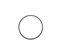 QUARKZMAN Nitrile Gomma O-Ring 160mm x 148,6mm x 5,7mm Guarnizioni Tenuta Anelli Rubinetti Rotondo Guarnizione Rondella per Rubinetto Idraulica Riparazione Sigillatura Connessione, 1 Pezzi