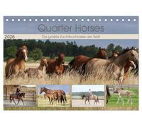 Quarter Horses - Die größte Zuchtbuchrasse der Welt (Tischkalender 2026 DIN A5 quer), CALVENDO Monatskalender: Quarter Horses Pferdezucht, Wandkalender mit 12 verschiedenen Fotos