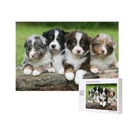 Quartetto di cuccioli di pastore australiano di piccola taglia,Puzzle in legno da 300 pezzi per famiglie, per adulti e adolescenti, decorazioni per la casa