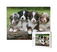 Quartetto di cuccioli di pastore australiano di piccola taglia,Puzzle in legno da 500 pezzi, gioco di famiglia, puzzle per adulti e adolescenti, decorazioni per la casa