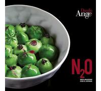 QUASAR - N2O Declinazione con il sifone di chef Danilo Angè libro cucina gourmet