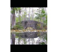 QUATTRO STORIE D ´AMORE CON AFFASCINANTI UOMINI ARABI