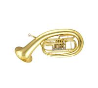 Quattro Tasti Piatti E Uno Verticale Sono Adatti Ai Principianti Che Vogliono Suonare L'eufonio Come Strumento Professionale Eufonio(4)