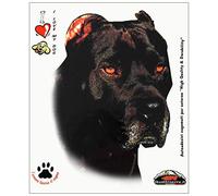 Quattroerre 8067 Adesivi Sticker Cane Corso, 14 x 16 cm