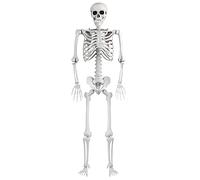 Qudinip Arredamento Scheletro, 168 Cm Realistic Halloween Decorazione di Scheletro, Giunti Regolabili con Controllo della Voce della Batteria per Feste di Halloween, Decorazione del