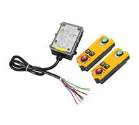 Qudinip Controller per Gru di Sollevamento Impermeabile Telecomandato Industriale con Tecnologia Intelligente per Gru a Ponte Materiale ABS 2 unità (CC 36 V)