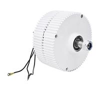 Qudinip Generatore a Magnete Permanente Generatore Eolico Efficiente da 300 W per Soluzioni di Energia Rinnovabile Durevole e di Lunga Durata (Motore 12V)