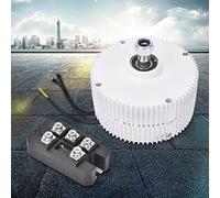 Qudinip Generatore a Magnete Permanente Generatore Eolico Efficiente da 300 W per Soluzioni di Energia Rinnovabile Durevole e di Lunga Durata (Motore 12V + raddrizzatore)