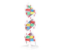 Qudinip Kit Modello DNA Umano, Giocattolo Colorato da Assemblare a Doppia Spirale per L'apprendimento Educativo, Plastica, Ideale per le Aule di Biologia