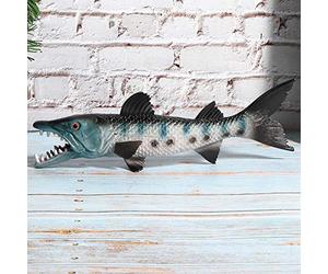 Qudinip Modello di Pesce di Pesce Lupo Giocattolo Educativo per Bambini Giocattolo di Plastica Durevole da 26,5 Cm per la Vita Marina Dell'oceano (M-1335 lupo)