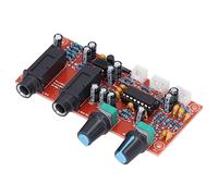 Qudinip Modulo Amplificatore Microfonico Digitale PT2399 con Riverbero e Volume Regolabili per Karaoke Ed Eventi Audio Dal Vivo, 1 X PCB, DC12-24V
