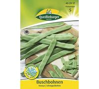Quedlinburger 402917 - Semi di fagioli Navajo