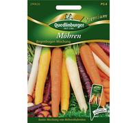Quedlinburger Carote Rainbow Mix, 1 porzione