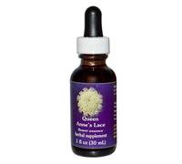 Queen Annes Lace Dropper 1 Oz Di Flower Essence Services