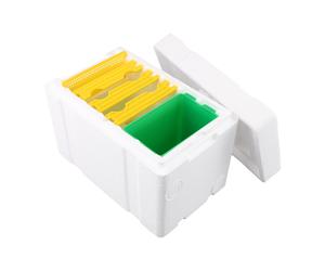 Queen Bee Mating Box Mini Nucleus Hive Bee Comportamento Queen Bee Mating Box