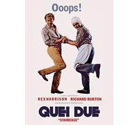 Dvd Quei Due