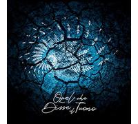 QUEL CHE DISSE IL TUONO - Il velo dei riflessi LP italian prog