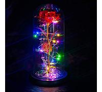 Quelen, rosa incantata per la bellezza e la bestia, regalo per fidanzata, rosa in vetro, per donne, Natale, compleanno