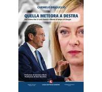 Quella meteora a destra. Fini contro Fini: il caso Futuro e Libertà al tempo di Giorgia