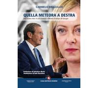 Quella Meteora A Destra. Fini Contro Fini: Il Caso Futuro E Libertà Al Tempo Di