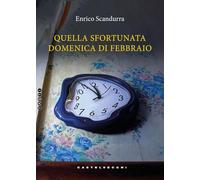 Quella sfortunata domenica di febbraio